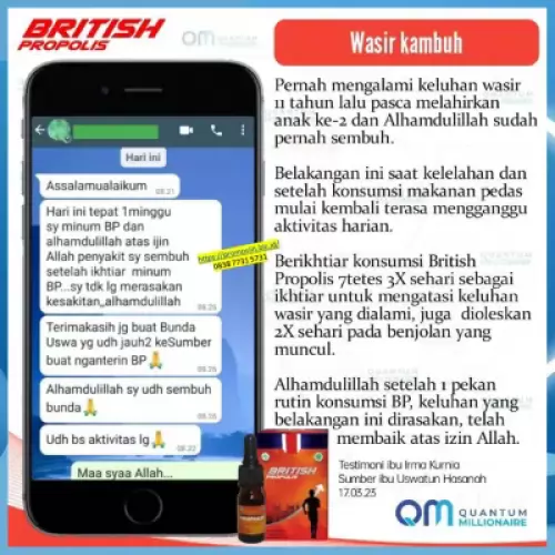 manfaat-british-propolis-mengobati-ambeien