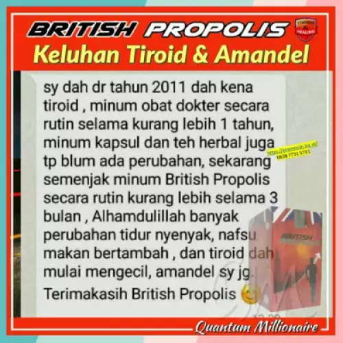 manfaat-british-propolis-mengatasi-amandel