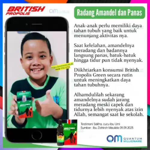 manfaat-british-propolis-mengobati-amandel