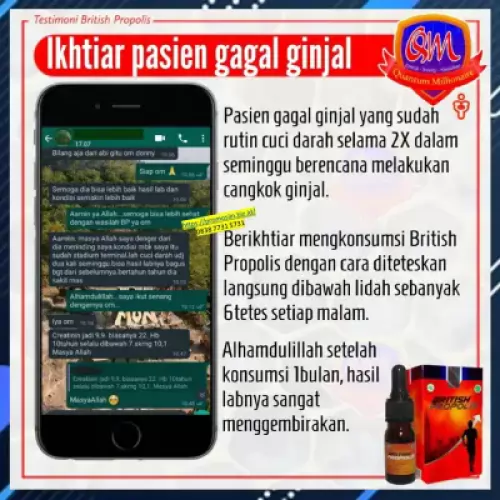 manfaat-british-propolis-mengatasi-gagal-ginjal