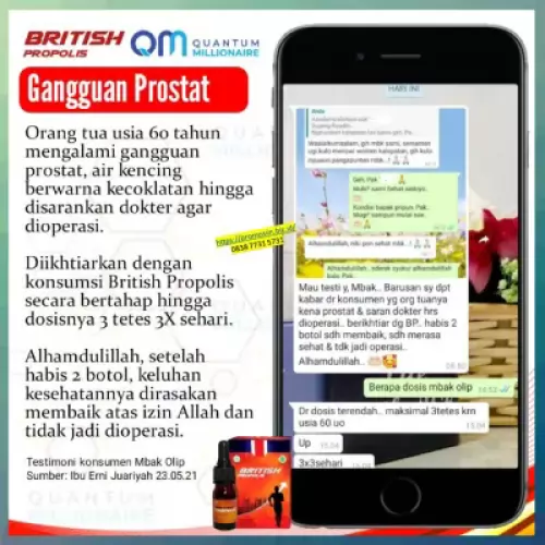 manfaat-british-propolis-mengatasi-hernia