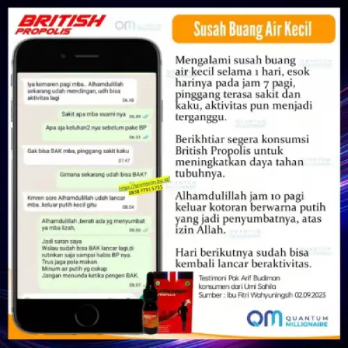 manfaat-british-propolis-menyembuhkan-infeksi-saluran-kencing