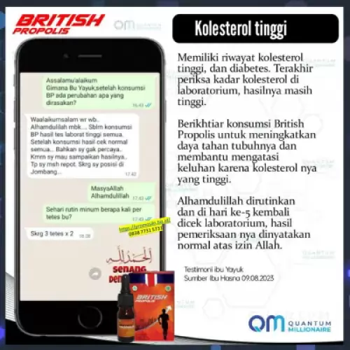 manfaat-british-propolis-menyembuhkan-kolesterol