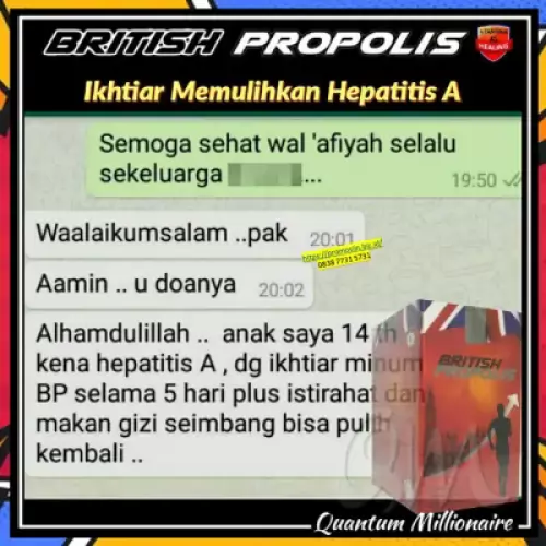 manfaat-british-propolis-mengatasi-liver