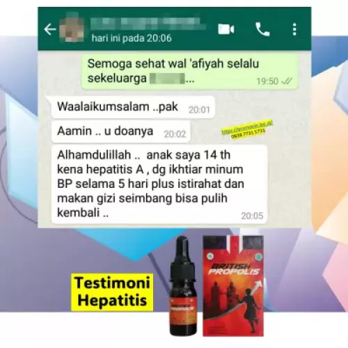 manfaat-british-propolis-mengobati-liver