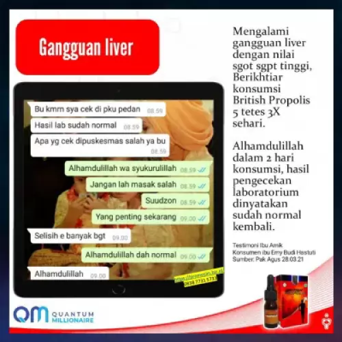 manfaat-british-propolis-menyembuhkan-liver