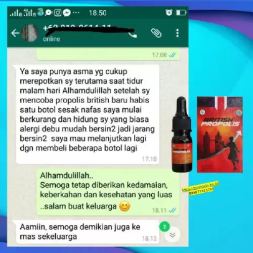 manfaat-british-propolis-mengatasi-radang-paru-paru