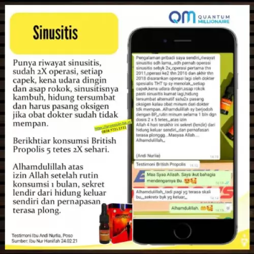 manfaat-british-propolis-menyembuhkan-sinusitis