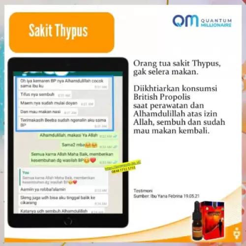 manfaat-british-propolis-menyembuhkan-tipes