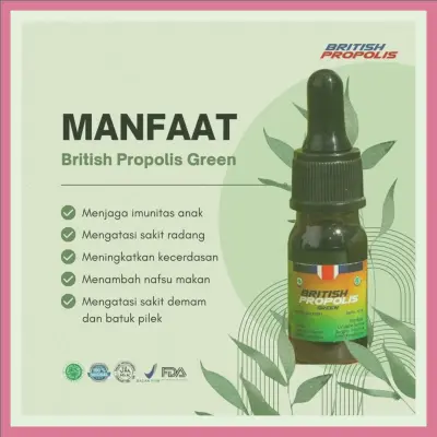 Harga British Propolis Untuk Mengobati Penyakit Terdekat Di Kota Blitar | Gratis Ongkir - 083877315731