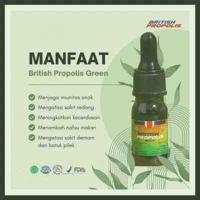 Harga British Propolis Untuk Dewasa Terdekat Di Kabupaten Lumajang | Gratis Ongkir - 083877315731