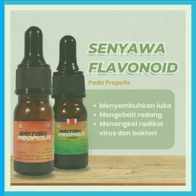 Jual British Propolis Untuk Dewasa Terdekat Di Kabupaten Pacitan | Gratis Ongkir - 083877315731