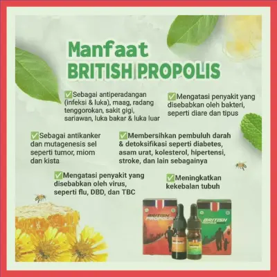 Agen British Propolis Asli Terdekat Di Kabupaten Sukoharjo | Gratis Ongkir - 083877315731
