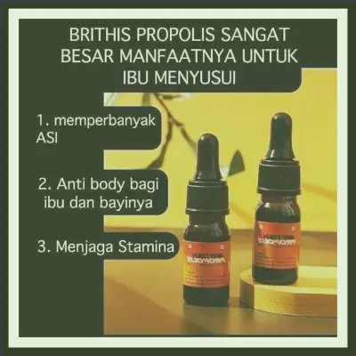 Harga British Propolis Untuk Mengobati Penyakit Terdekat Di Kabupaten Sukabumi | Gratis Ongkir - 083877315731