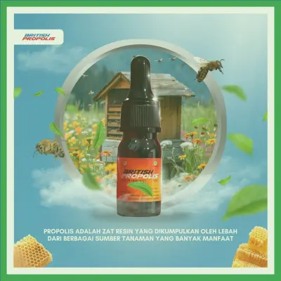 Harga British Propolis Untuk Anak Terdekat Di Kabupaten Banyuwangi | Gratis Ongkir - 083877315731