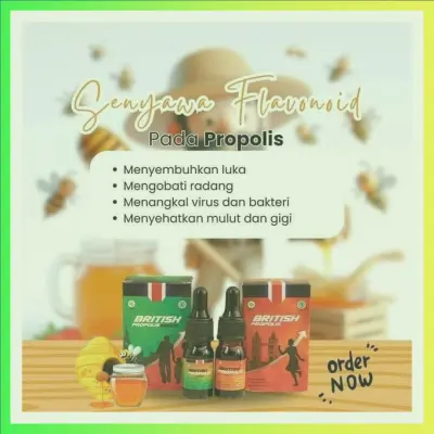 Distributor British Propolis Untuk Anak Terdekat Di Kabupaten Tuban | Gratis Ongkir - 083877315731