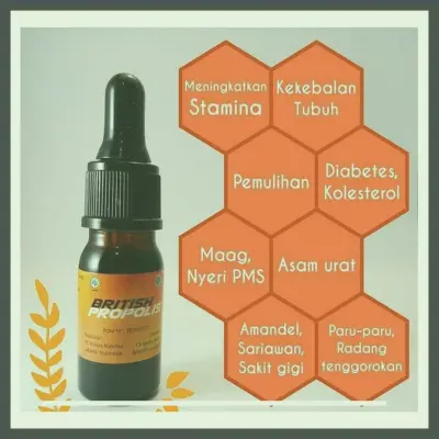 Harga British Propolis Untuk Dewasa Terdekat Di Kabupaten Indramayu | Gratis Ongkir - 083877315731