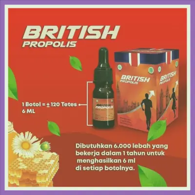 Agen British Propolis Untuk Dewasa Terdekat Di Kabupaten Kediri | Gratis Ongkir - 083877315731