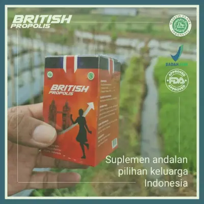 Jual British Propolis Untuk Mengobati Penyakit Terdekat Di Kabupaten Jombang | Gratis Ongkir - 083877315731