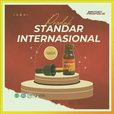 Harga British Propolis Untuk Dewasa Terdekat Di Kabupaten Purwakarta | Gratis Ongkir - 083877315731