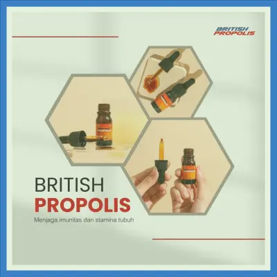 Agen British Propolis Untuk Mengobati Penyakit Terdekat Di Kabupaten Bekasi | Gratis Ongkir - 083877315731