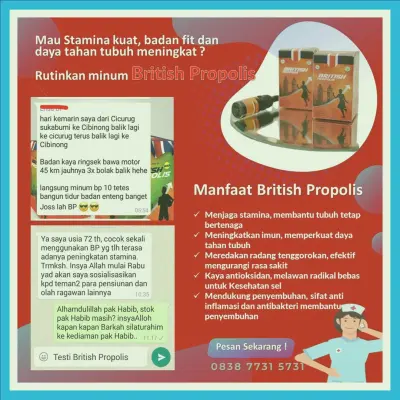 Agen British Propolis Untuk Mengobati Penyakit Terdekat Di Kota Madiun | Gratis Ongkir - 083877315731