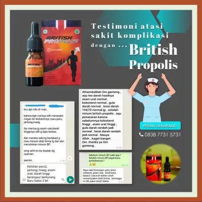Distributor British Propolis Untuk Mengobati Penyakit Terdekat Di Kabupaten Purwakarta | Gratis Ongkir - 083877315731