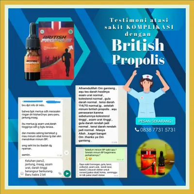 Jual British Propolis Untuk Anak Terdekat Di Kota Mojokerto | Gratis Ongkir - 083877315731
