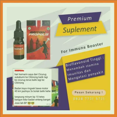 Agen British Propolis Untuk Dewasa Terdekat Di Kabupaten Bogor | Gratis Ongkir - 083877315731